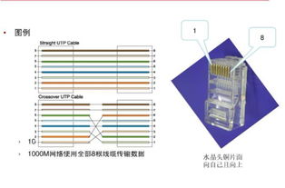 网络综合布线基础入门 构建智能传输的骨架